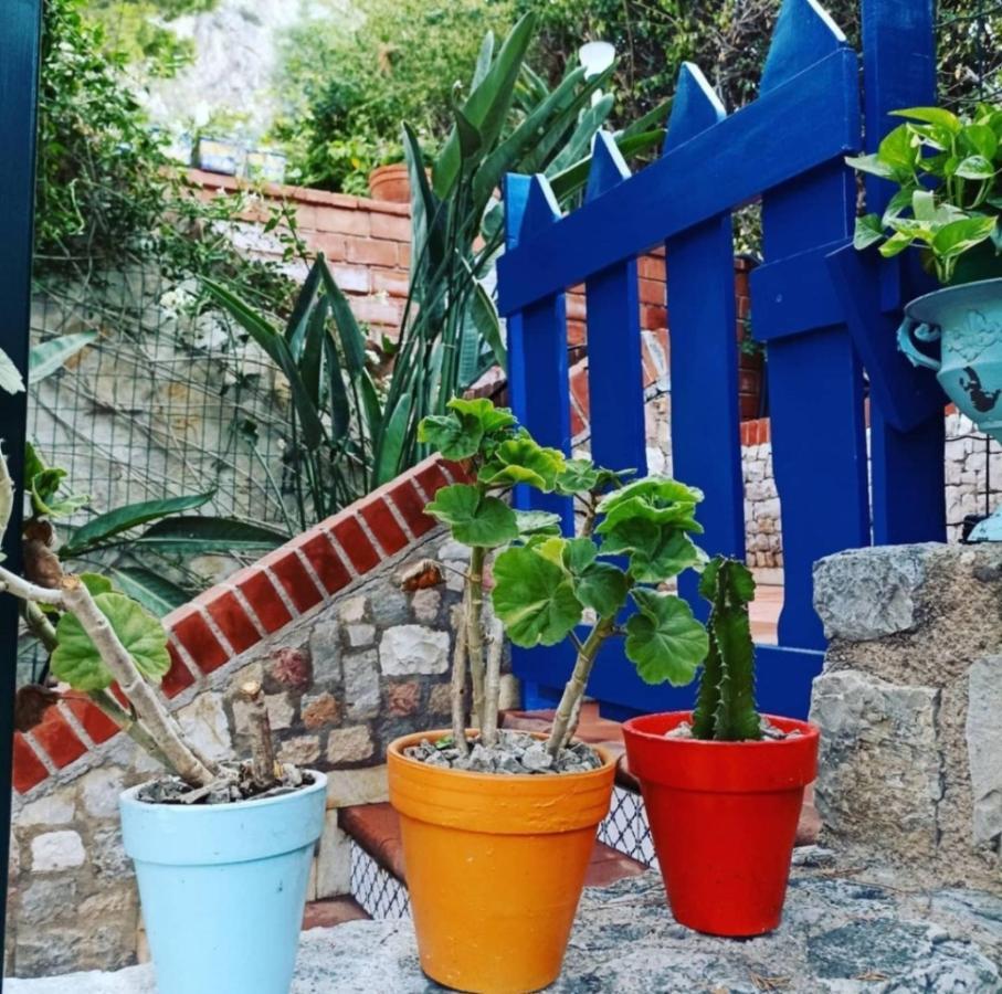Vfh Villa Flavia Eco B&B - 50 Metri Dal Mare Santa Flavia Dış mekan fotoğraf